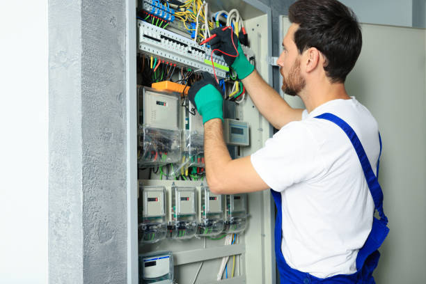 Best Electric Panel Repair  in Alcoa, TN